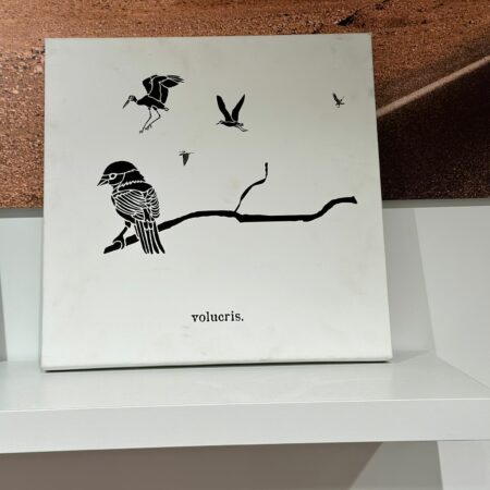 Cadre décoratif oiseau