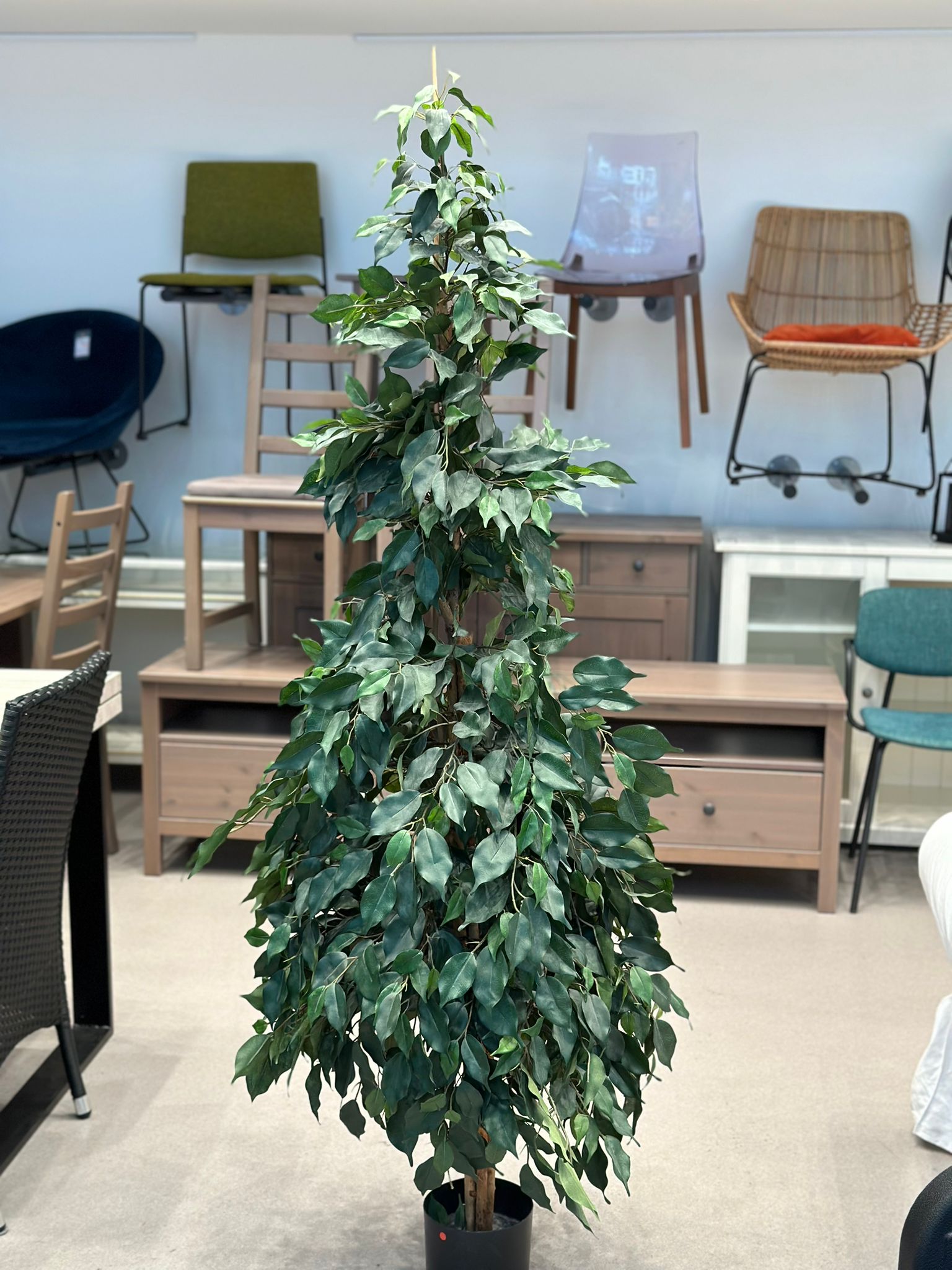 Plantes artificielle (7 pièces disponibles) - Image 2