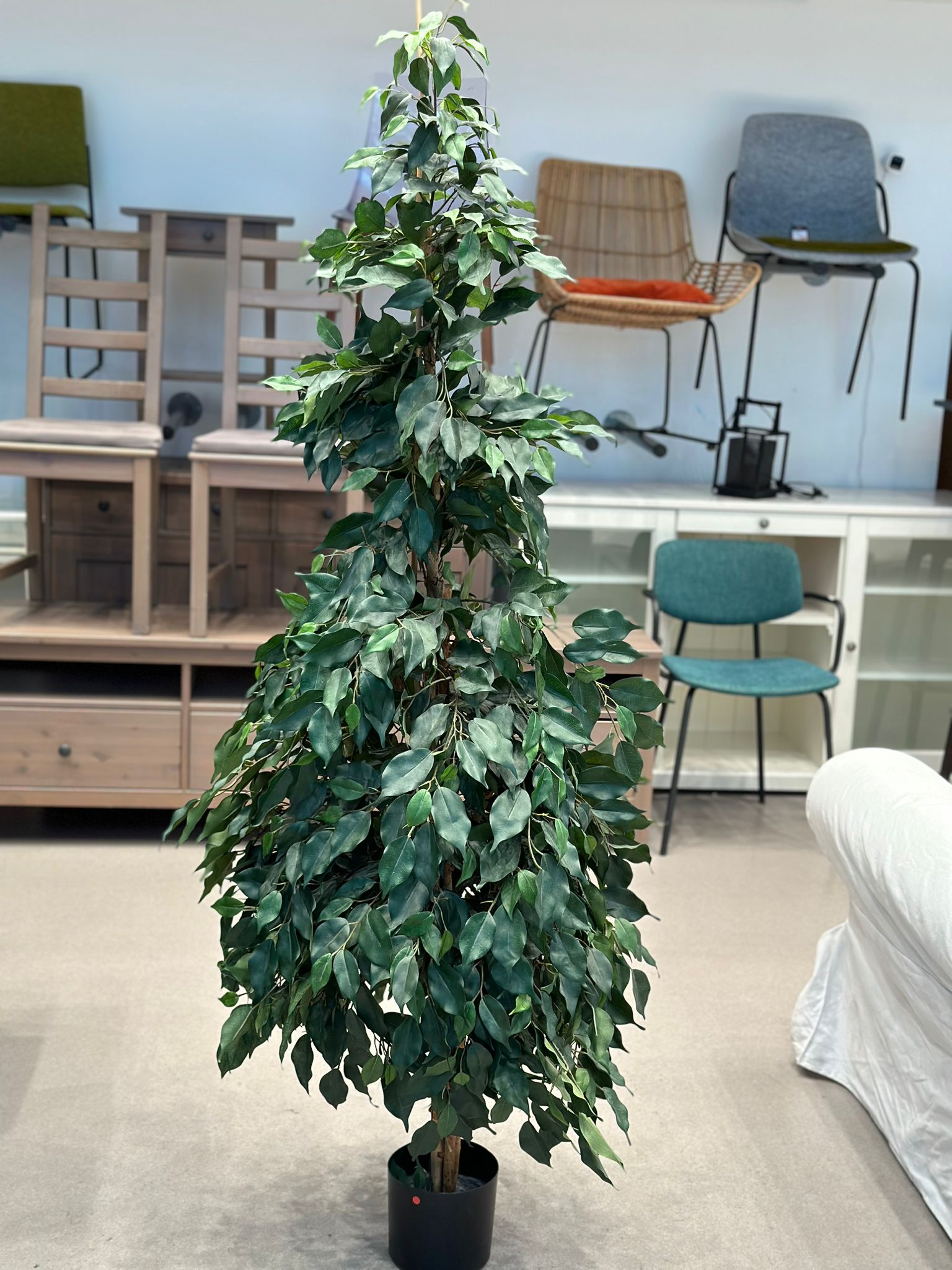 Plantes artificielle (7 pièces disponibles)